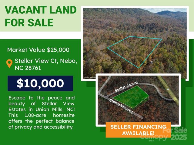 Lot 1 NC Highway 226 Highway S, Union Mills, NC 28167