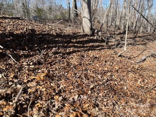Lot 1 NC Highway 226 Highway S, Union Mills, NC 28167