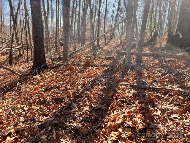 Lot 1 NC Highway 226 Highway S, Union Mills, NC 28167