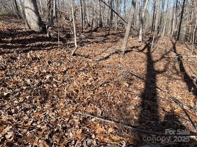 Lot 1 NC Highway 226 Highway S, Union Mills, NC 28167