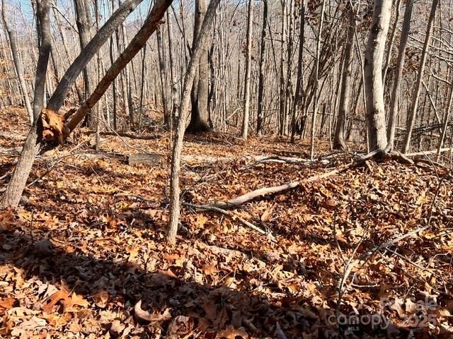 Lot 1 NC Highway 226 Highway S, Union Mills, NC 28167