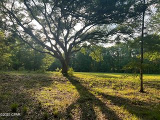 1750 Turkey Oak Trail, Bonifay, FL 32425