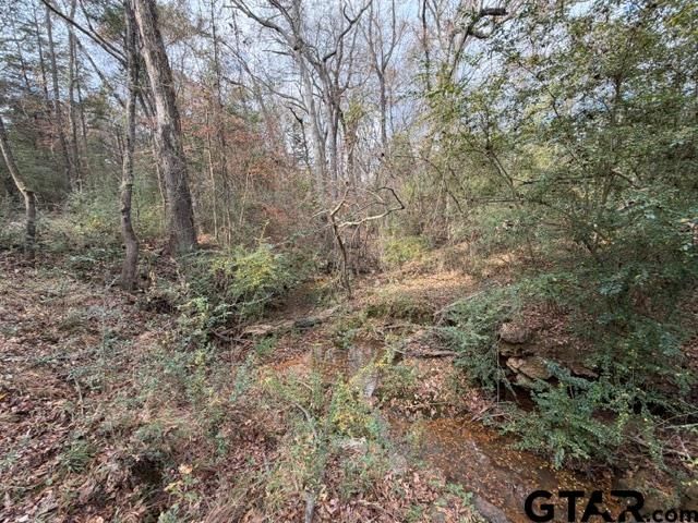 18277 County Road 295, Arp, TX 75750