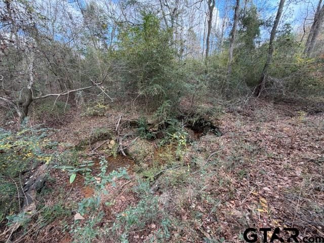 18277 County Road 295, Arp, TX 75750