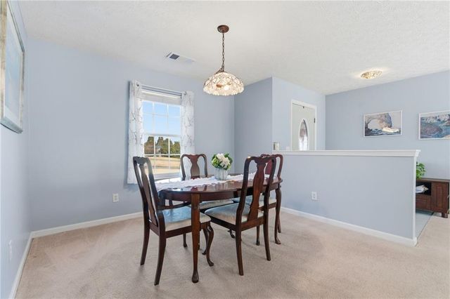 8425 River Hill Commons Drive, Ball Ground, GA 30107