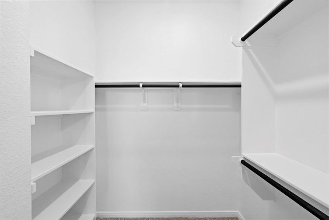 116 West Coralburst Loop, Montgomery, TX 77316