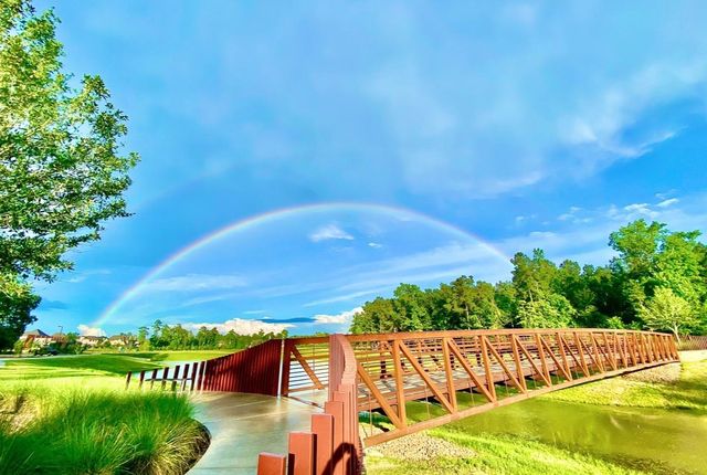 116 West Coralburst Loop, Montgomery, TX 77316