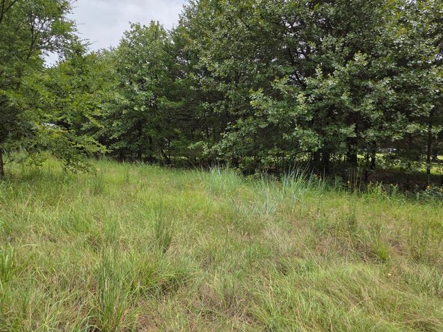 126 Tipps Road, Whitesboro, TX 76273