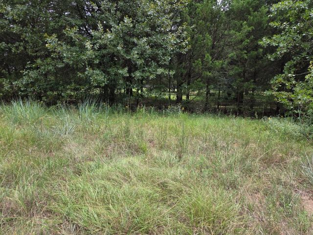 126 Tipps Road, Whitesboro, TX 76273