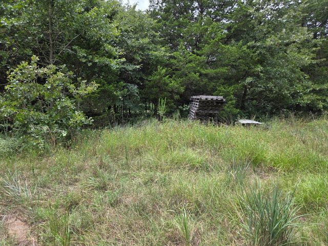 126 Tipps Road, Whitesboro, TX 76273