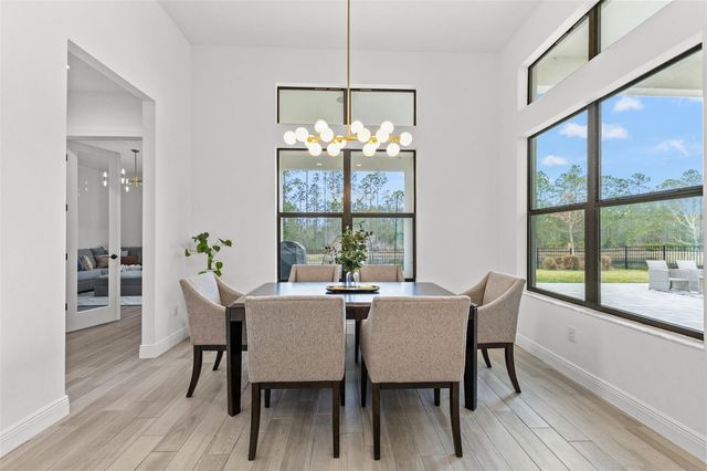 4058 TOUR TRACE, Land O Lakes, FL 34638