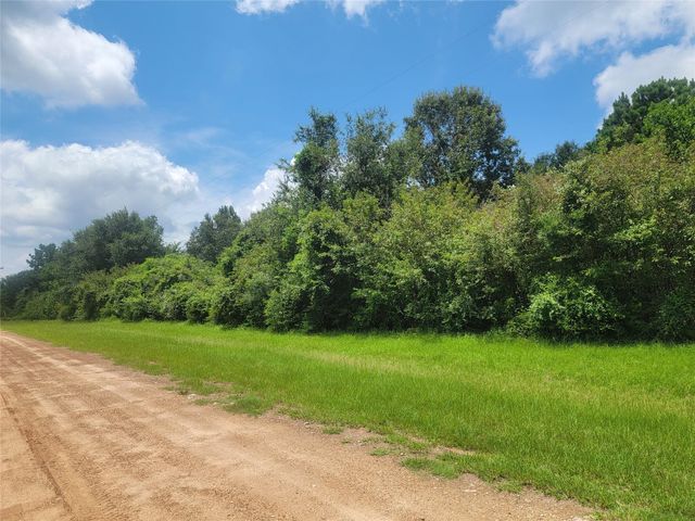 00 Farm Pasture Road, Shepherd, TX 77371
