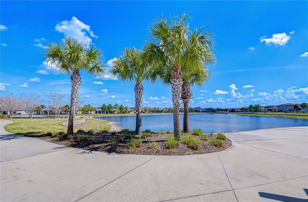 Image 69 of property listing at 11019 LELAND GROVES DR, Riverview, FL 33579