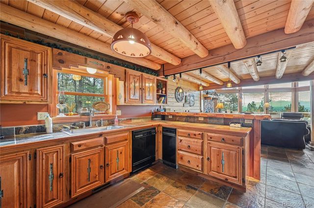 3613 Trail Creek Road, Florissant, CO 80816