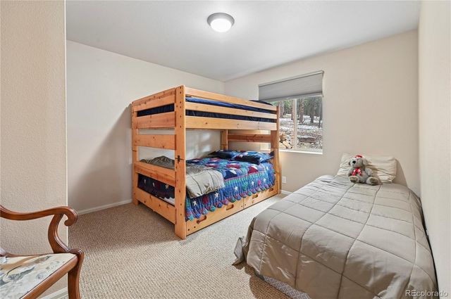 3613 Trail Creek Road, Florissant, CO 80816