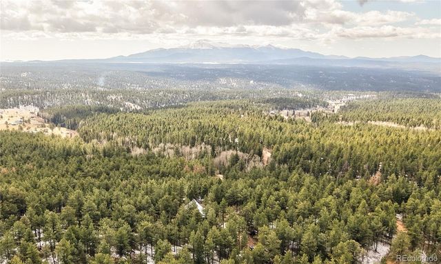 3613 Trail Creek Road, Florissant, CO 80816