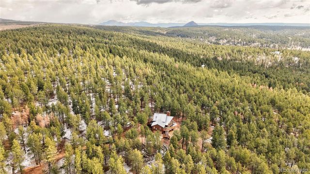 3613 Trail Creek Road, Florissant, CO 80816