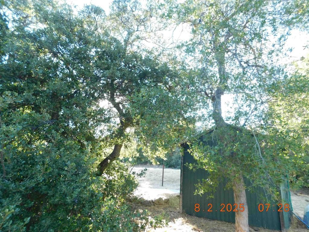 Image 14 of property listing at 1761 Whispering Pines Dr., Julian, CA 92036