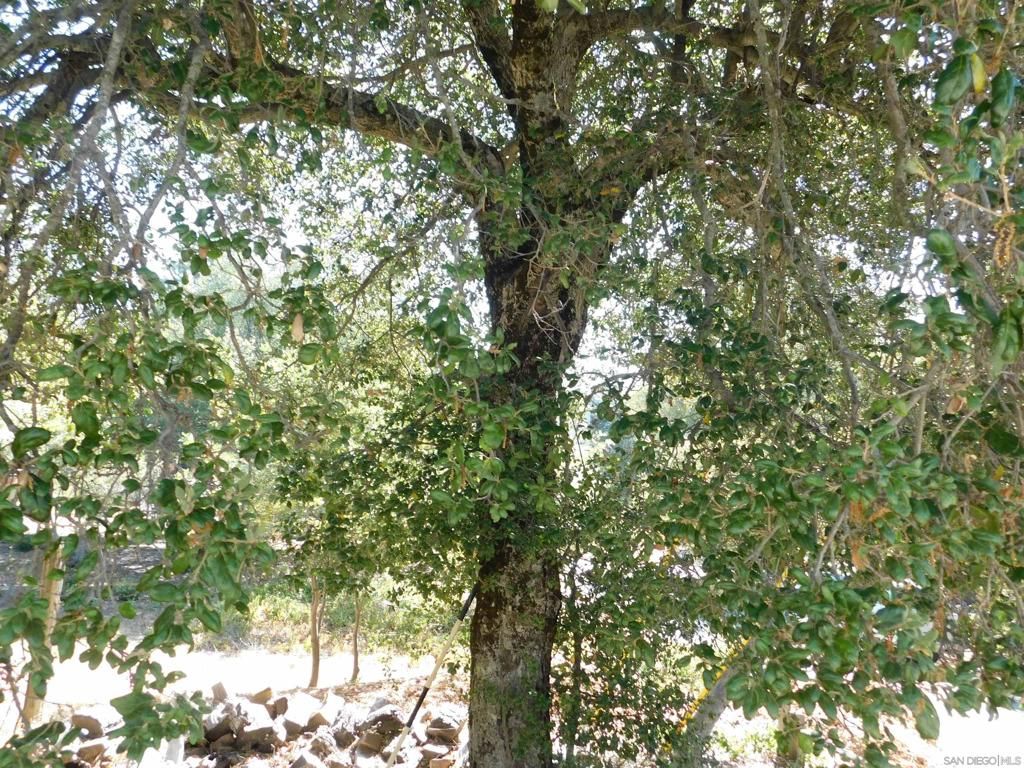 Image 18 of property listing at 1761 Whispering Pines Dr., Julian, CA 92036