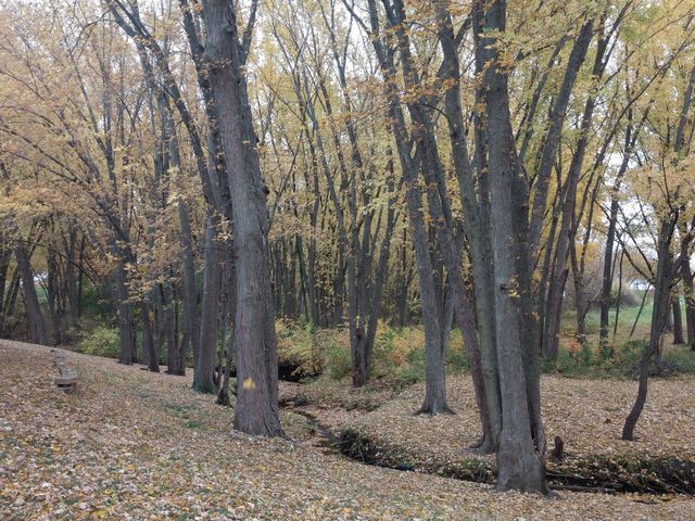 2917 Brookview Drive 1, Freeport, IL 61032