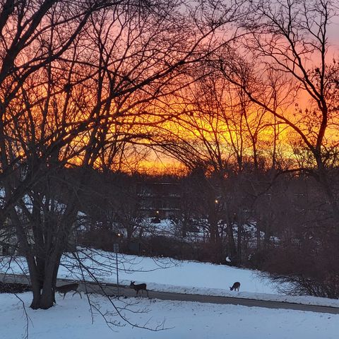 2917 Brookview Drive 1, Freeport, IL 61032