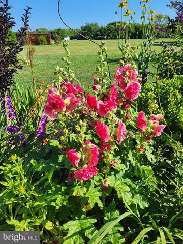 34170 CLAY RD, Lewes, DE 19958