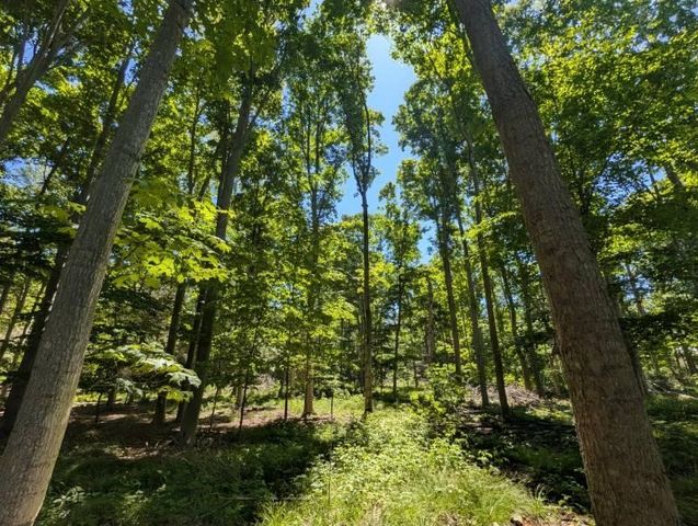10766 Old Highway 99, Montague, MI 49437