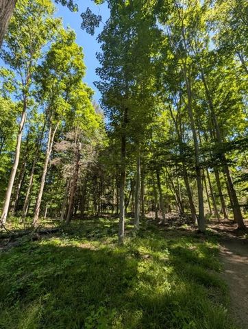 10766 Old Highway 99, Montague, MI 49437
