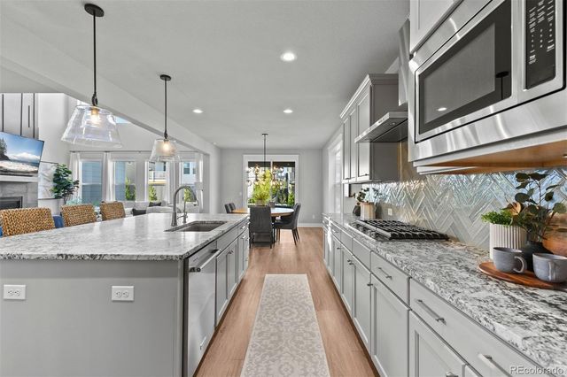 5821 Tesoro Point, Parker, CO 80134
