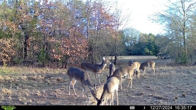 TBD Fm 274, Bonham, TX 75418