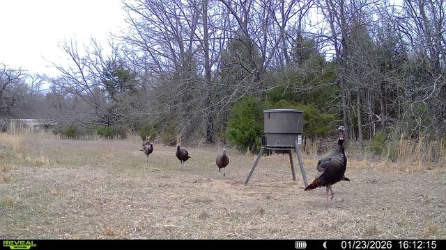 TBD Fm 274, Bonham, TX 75418