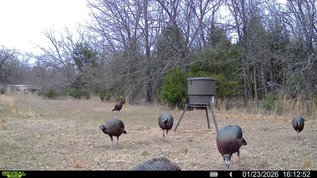 TBD Fm 274, Bonham, TX 75418