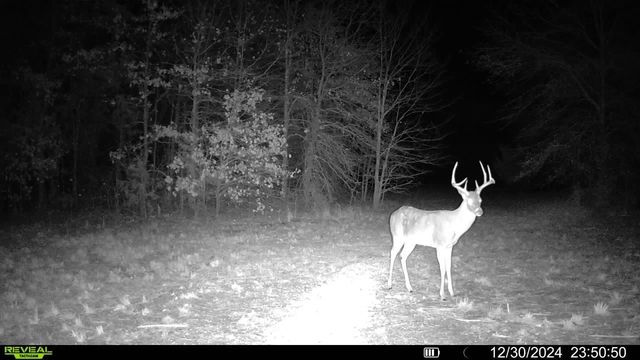 TBD Fm 274, Bonham, TX 75418