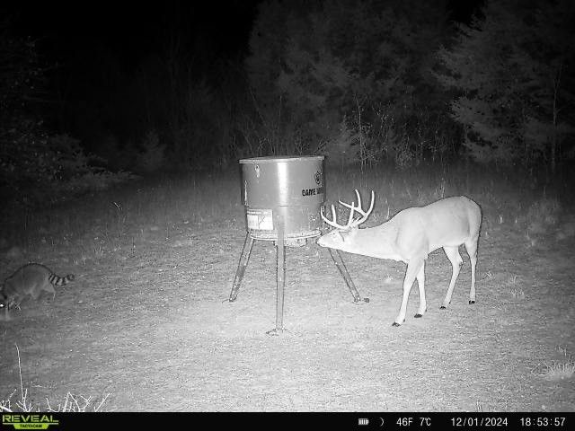 TBD Fm 274, Bonham, TX 75418
