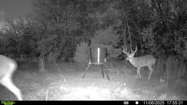 TBD Fm 274, Bonham, TX 75418
