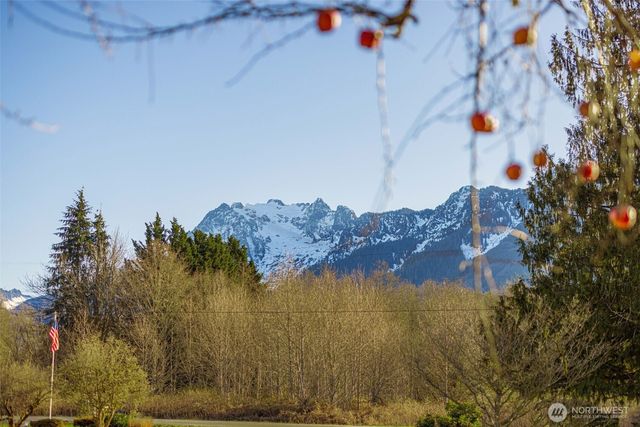 36721 Swede Heaven Road, Arlington, WA 98223