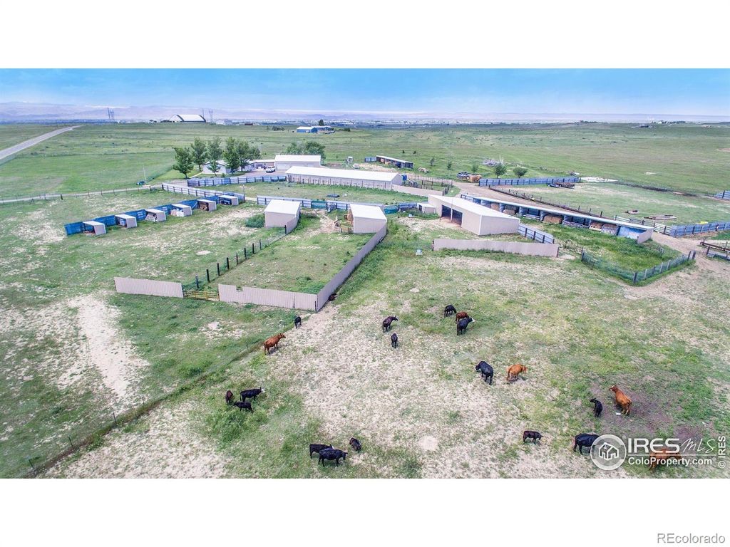 7557 County Road 100, Wellington, CO 80549