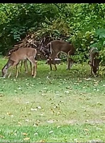 20650 Brest Road, Taylor, MI 48180