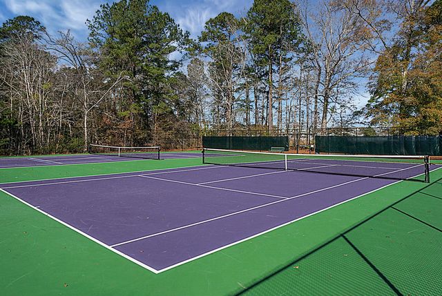 307 Pimpernel Street, Summerville, SC 29483