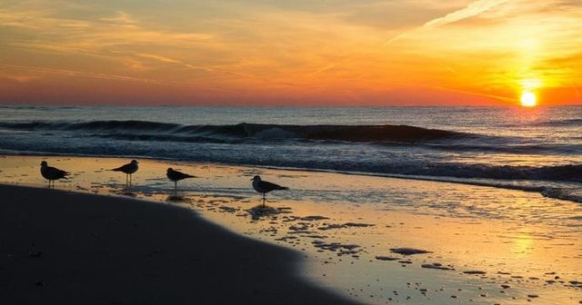 123 Kelly Lane, Gulf Shores, AL 36542