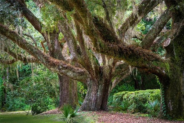 123 Kelly Lane, Gulf Shores, AL 36542