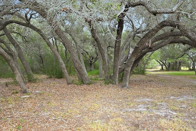 1402 W Johnson Ave, Aransas Pass, TX 78336