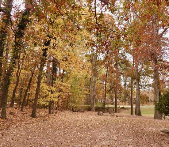 3007 Old Raleigh Road, Apex, NC 27502