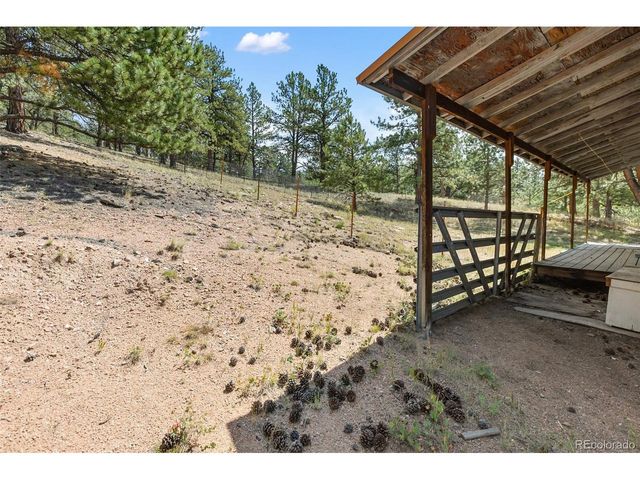 272 Spring Valley Trl, Florissant, CO 80816