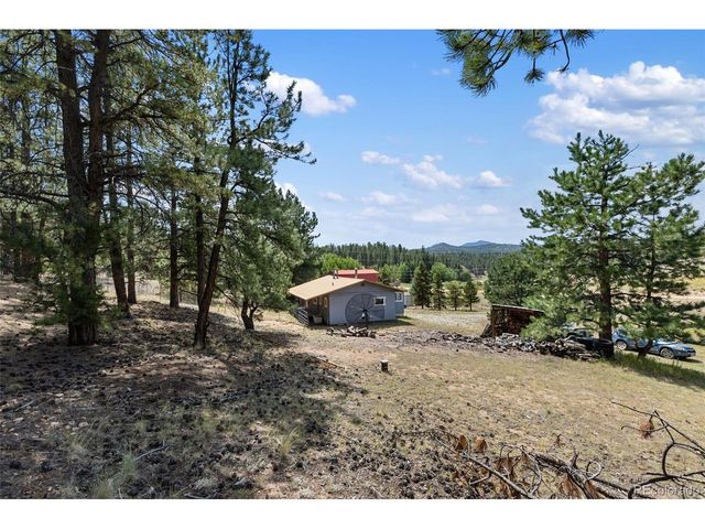 272 Spring Valley Trl, Florissant, CO 80816