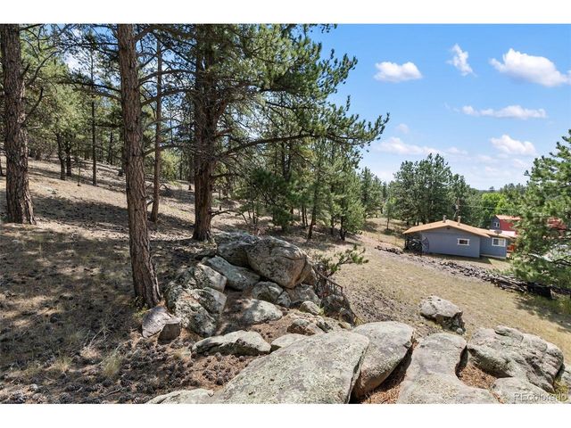 272 Spring Valley Trl, Florissant, CO 80816