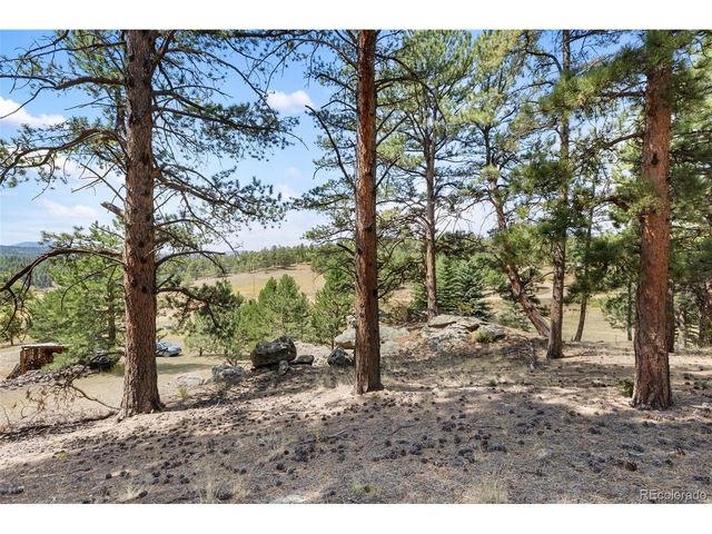 272 Spring Valley Trl, Florissant, CO 80816