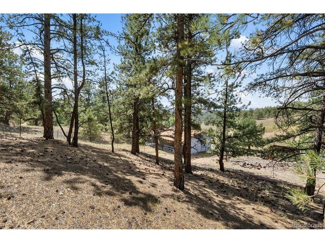 272 Spring Valley Trl, Florissant, CO 80816