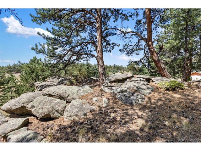 272 Spring Valley Trl, Florissant, CO 80816
