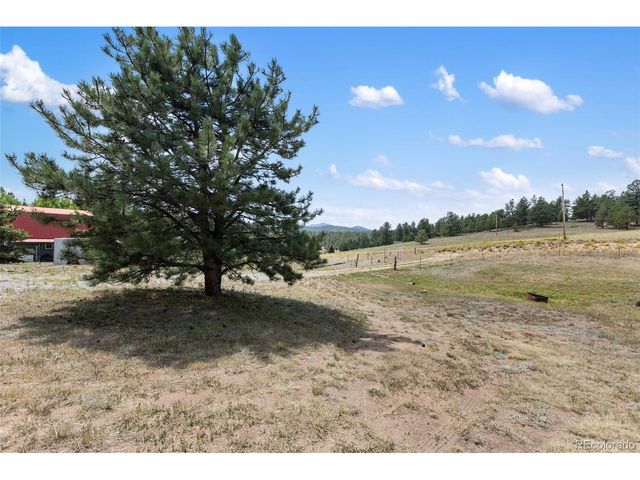 272 Spring Valley Trl, Florissant, CO 80816